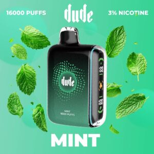 POD DUDE 16000 PUFFS – Mint (3% Nicotine)